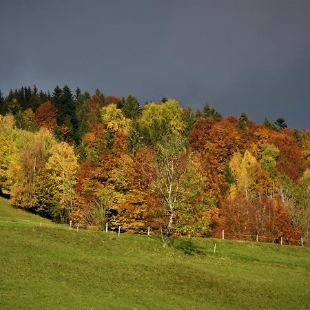 Ferienhaus Brittenberg シュヴァルツェンベルク・イム・ブレゲンツァーヴァルト エクステリア 写真